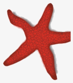 Starfish Clipart Hidupan Laut Clip Art Transparent - Starfish Clip Art, HD Png Download, Free Download