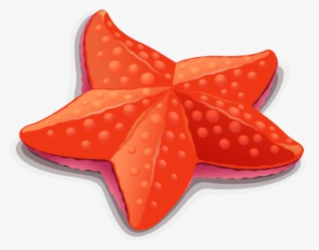 Starfish Clipart Png Image Free Download Searchpng - Starfish Cartoon Clip Art, Transparent Png, Free Download