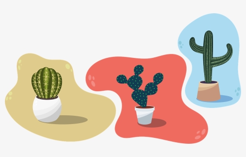 Vector Cacti, Cactus, Succulent, Plant, Desert - Prickly Pear, HD Png Download, Free Download