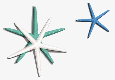 Transparent Sea Star Png - Starfish, Png Download, Free Download