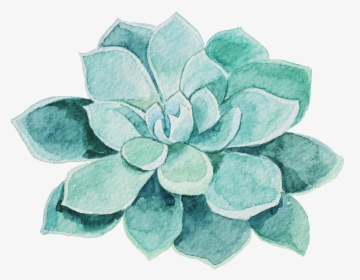 Watercolor Succulent Png - Mothers Day Massage Gift Cert, Transparent Png, Free Download