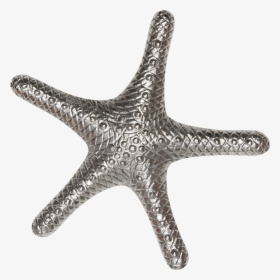 130037 Silver Starfish - Starfish, HD Png Download, Free Download