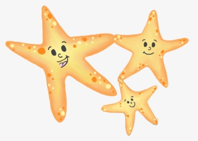 Starfish, HD Png Download, Free Download