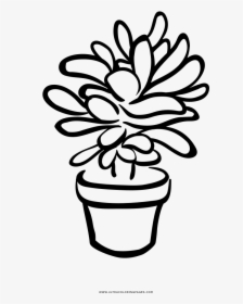 Succulent Coloring Page - Succulent Coloring Page Free, HD Png Download ...