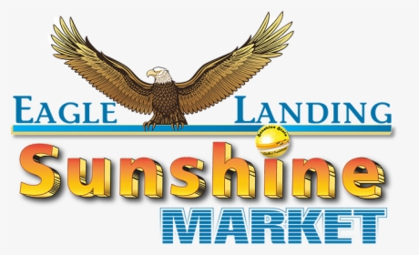 Eagle Landing Vendor Show - Hawk, HD Png Download, Free Download