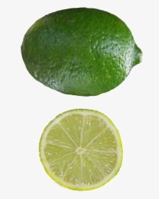 Citrus Aurantifolia Mexican Lime - Citrus Aurantiifolia, HD Png Download, Free Download