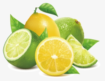 Lemon Key Lime - Lemon Lime Transparent, HD Png Download, Free Download