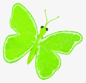 Citrus Fruit Butterfly Clip Arts - Butterfly, HD Png Download, Free Download