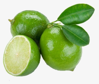 Green Lime Png Free Image Download - Lime Fruit, Transparent Png, Free Download