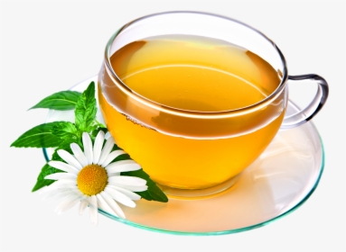 Green Tea Cup Png, Transparent Png, Free Download