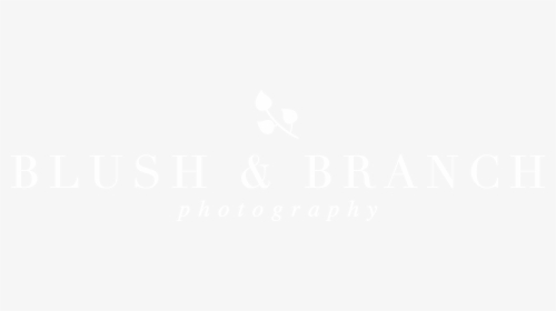 Ihs Markit Logo White - Johns Hopkins White Logo, HD Png Download, Free Download