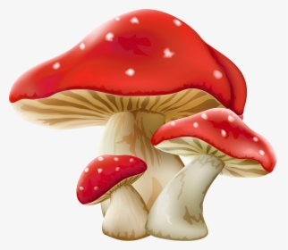 Transparent Background Mushroom Clipart, HD Png Download, Free Download