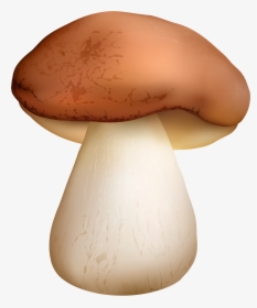Boletus Mushroom Png Clipart - Mushroom Png, Transparent Png, Free Download