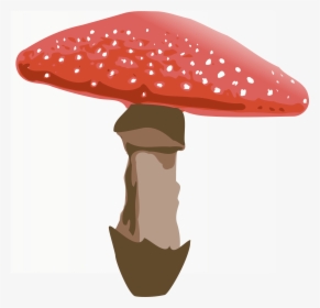 Amanita Muscaria Png File - Transparent Background Mushroom Clipart, Png Download, Free Download