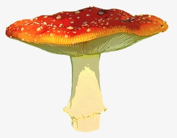 Mushroom Clip Art, HD Png Download, Free Download