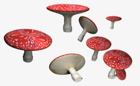 Amanita Muscaria Png Hd - Png Transparent Png Mushrooms, Png Download, Free Download