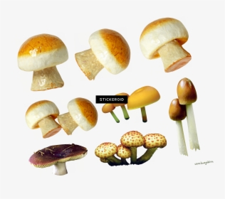 Mushroom , Png Download - Mushroom, Transparent Png, Free Download