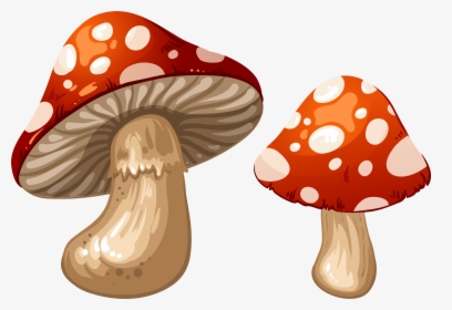 Mushrooms Png Clip Art - Mushroom Clipart, Transparent Png, Free Download
