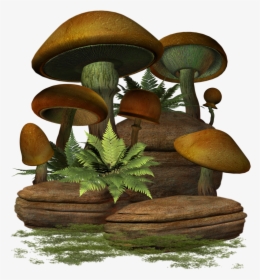 Transparent Mushroom Png - Mushroom, Png Download, Free Download
