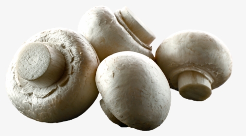White Button Mushrooms - Button Mushrooms Transparent Background, HD Png Download, Free Download