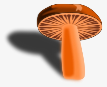 Orange,computer Icons,mushroom, HD Png Download, Free Download