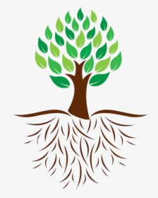 Tree And Roots Colour Illustration - Tree With Roots And Leaves, HD Png Download, Free Download