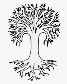 Coloring Bare Tree Drawing Download Hd Details Png - Tree Clipart Black And White With Root, Transparent Png, Free Download