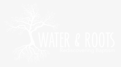 Water And Roots Umc, HD Png Download, Free Download