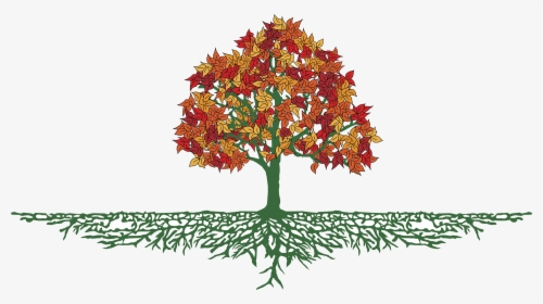 Tree With Roots Png, Transparent Png, Free Download
