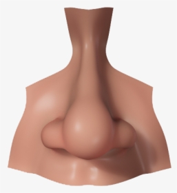 Download Nose Png Picture - Nose 3d Model Free, Transparent Png, Free Download