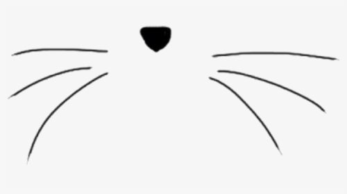 Cat Nose Png - Transparent Background Cat Whiskers Clipart, Png Download, Free Download