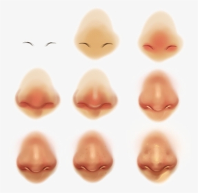 Nose Transparent Images - Semi Realistic Nose, HD Png Download, Free Download