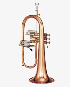 Trumpet Png Image Background - King Musical Instruments, Transparent Png, Free Download