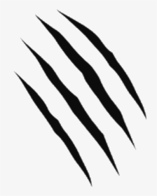 Scratches Png 25 - Claw Scratch Png, Transparent Png, Free Download