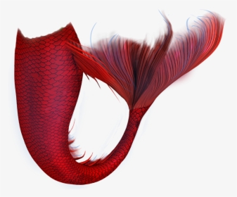 Go To Image - Mermaid Tails Red And Black, HD Png Download, Free Download