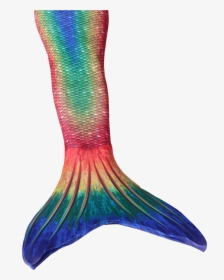 Mermaid Tail Png - Mermaid Tails, Transparent Png, Free Download