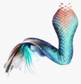 Mermaid Tail Sticker , Png Download - Mermaid Tail Hd Png, Transparent Png, Free Download