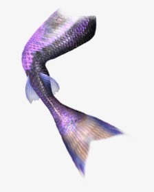 Mermaid Tail Computer File - Transparent Background Mermaid Tail Transparent, HD Png Download, Free Download