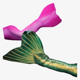 Get Your Professional Fabric Or Silicone Mermaid Tail - Mermaid, HD Png Download, Free Download