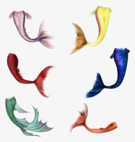 #mermaidtail #fish #mermaid #tail - Transparent Mermaid Tails Png, Png Download, Free Download
