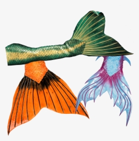 High Quality Silicone Mermaid Tails From Mermaid Kat - Illustration, HD Png Download, Free Download