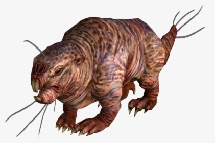 Fallout Png Image Free Download - Fallout New Vegas Mole Rat, Transparent Png, Free Download