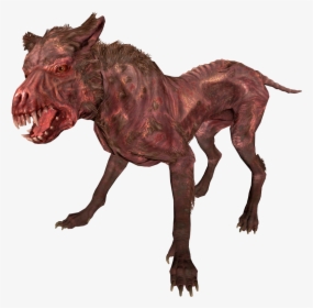 Transparent Fallout 4 Character Png - Fallout 4 Feral Dog, Png Download, Free Download