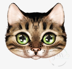 Rage Face 3 X 3 Die Cut Sticker - Domestic Short-haired Cat, HD Png Download, Free Download
