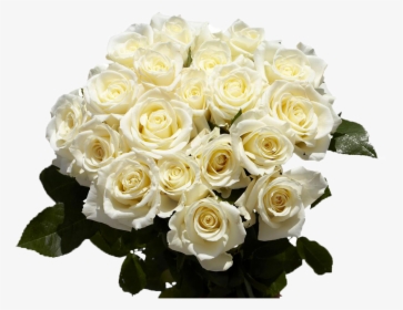 Transparent White Roses Png - Free Pictures White Roses, Png Download, Free Download