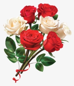 Bouquet Of White Roses Png - Rose Image Hd Png, Transparent Png, Free Download