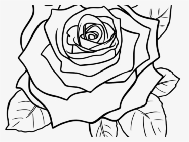 Free White Rose Clipart - Black And White Rose Flower Clipart, HD Png Download, Free Download
