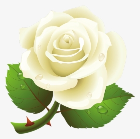 White Roses Png Free Download - White Rose Vector Png, Transparent Png, Free Download