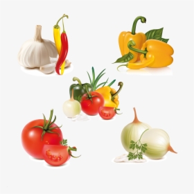 Vegetables Fruits Vector Free, HD Png Download, Free Download