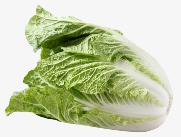 Chinese Cabbage Transparent Png, Png Download, Free Download